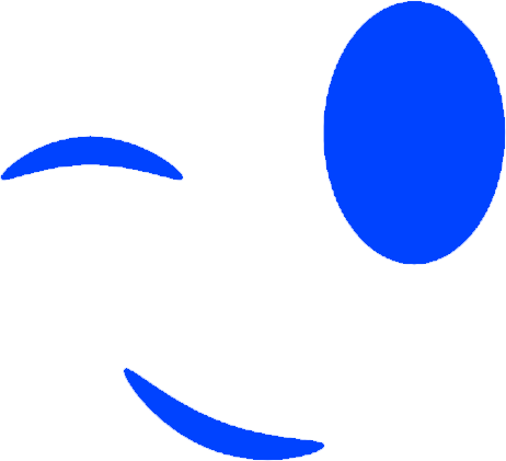Wink Store